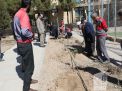 گزارش تصویری مراسم روز درختکاری